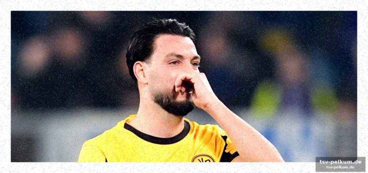Die stimmen zum spiel