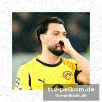 Reaktionen und analyse