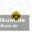 Bvb chancenlos in bergamo – atalanta dominiert