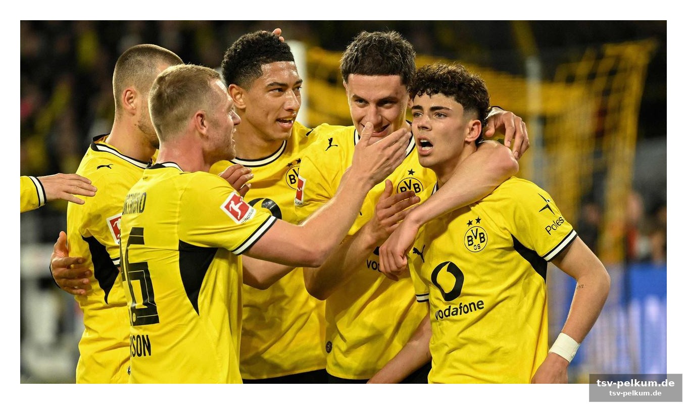 Dortmunds reaktion und inacio