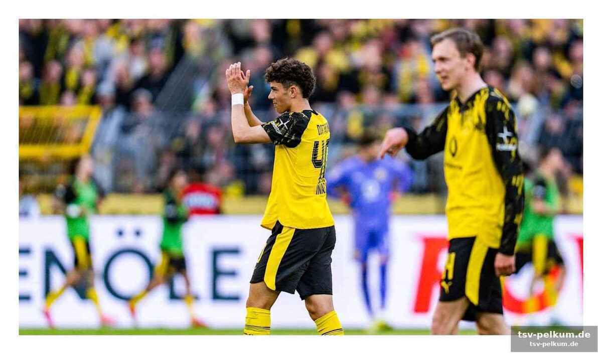 Junges gemüse sorgt für frischen wind