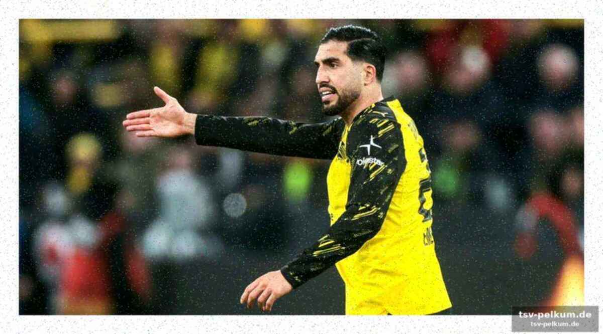 Warum der bvb jetzt zahlt statt spart