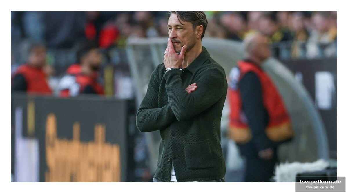 Jungspieler sollen in die bresche springen