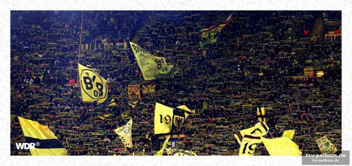 Reaktion des bvb und rechtliche schritte