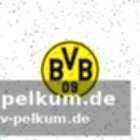 Aktuelle lage und spieltermin
