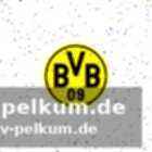Olsons ziele mit dem bvb
