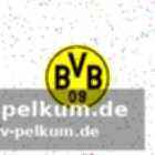 Die reaktion des bvb: „wichtige führungspersönlichkeit“
