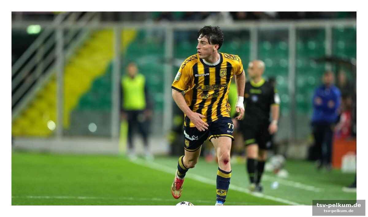 Die reise nach kreta: cacciamanis chance im nationalteam