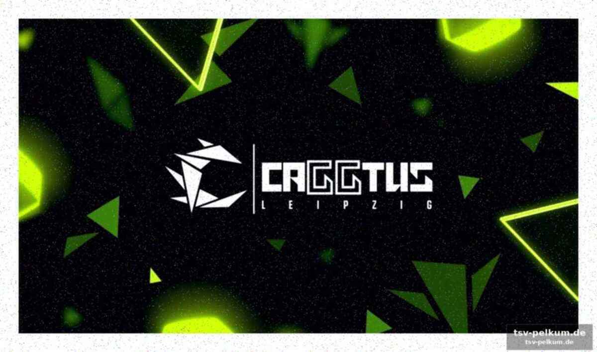 Warum die caggtus anders ist als die gamescom