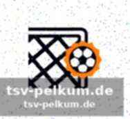 Aufstellungen und trainerentscheidungen