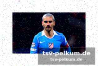 Die champions-league ist der joker