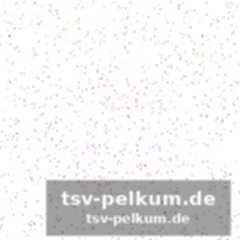 Eine stadt atmet basketball