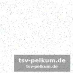 Bortolani – das talent der zukunft