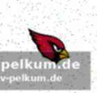 Erfolgreiche zeit in green bay