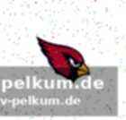 Erfolgreiche zeit in green bay