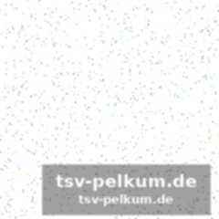 Konkurrenz und herausforderungen für die rai