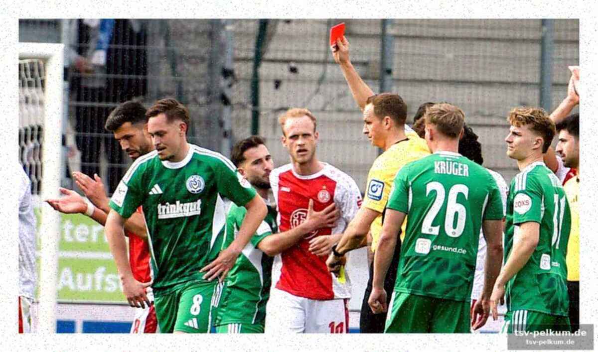 Dfb-sportgericht fällt urteil