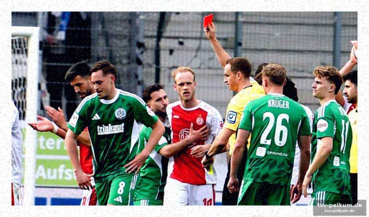 Das urteil des dfb-sportgerichts