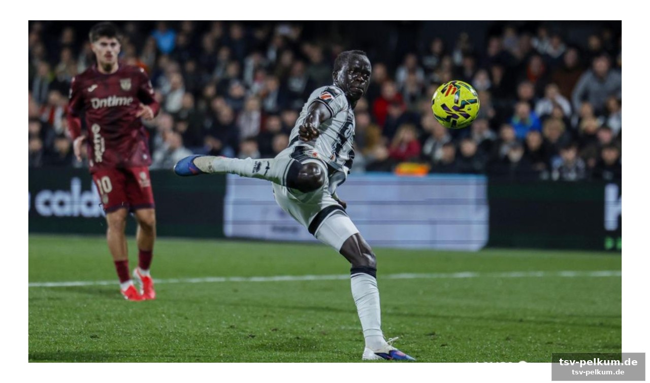 Brian cipenga: congo-dilemma und vertragsende