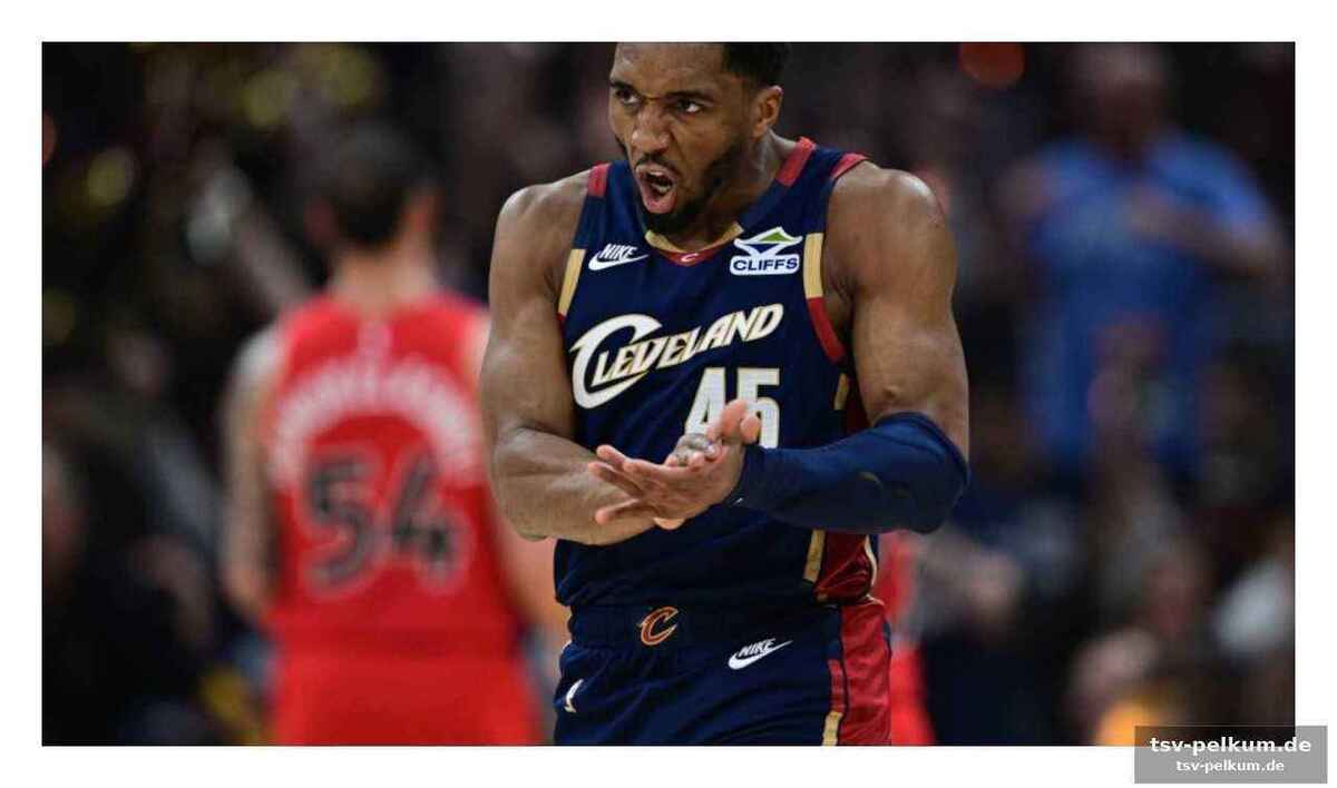 Die raptors stehen vor einer herausforderung