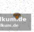 Nuggets und thunder siegen