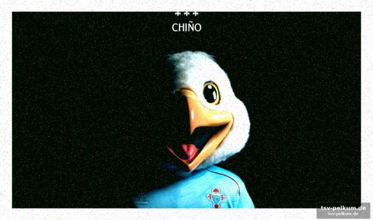 Ein schnapphahn mit potenzial: chiños profil