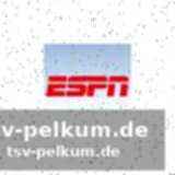 Was celtic-fans wissen sollten