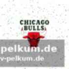 Boston verstärkt den frontcourt