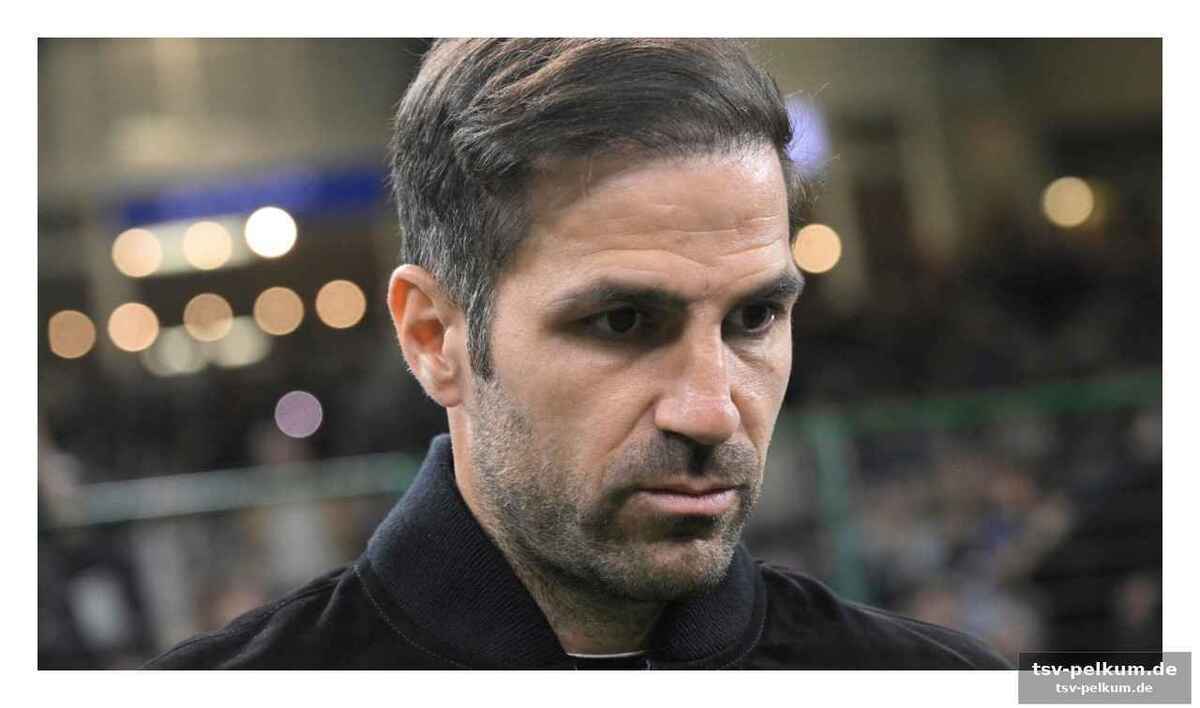 Chelsea-bank frei, gerüchte laut – fàbregas blockt ab