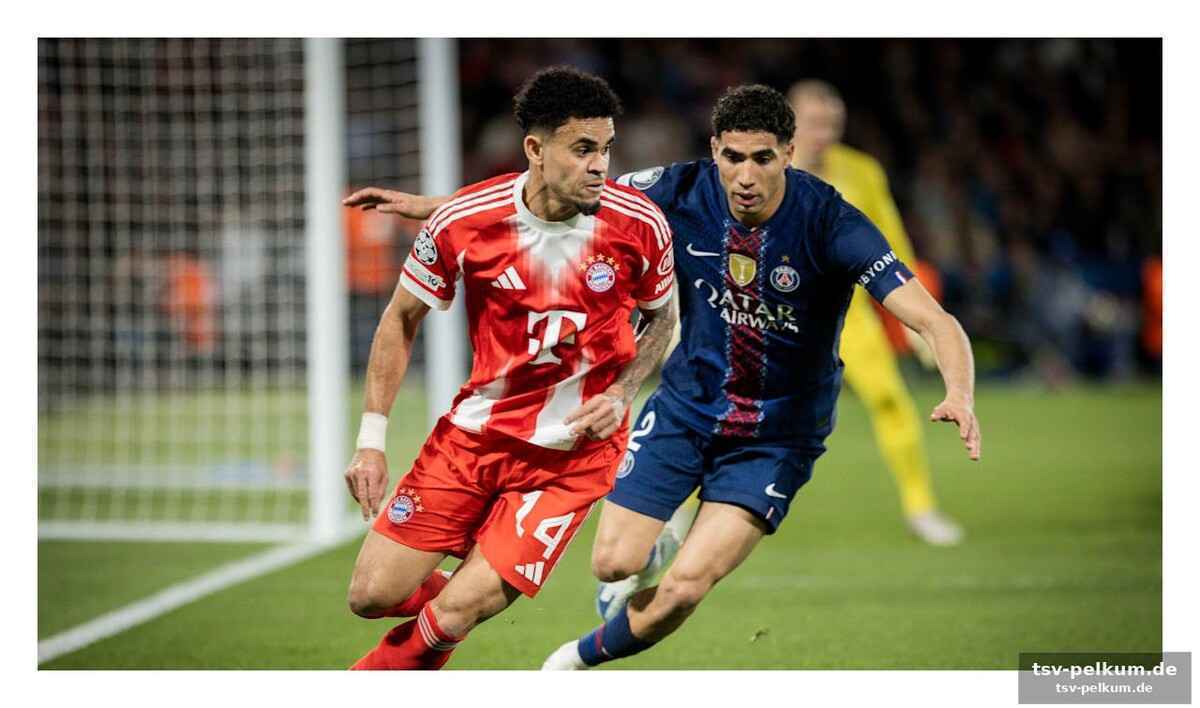 Ein fest für fussballfans: die champions league live erleben