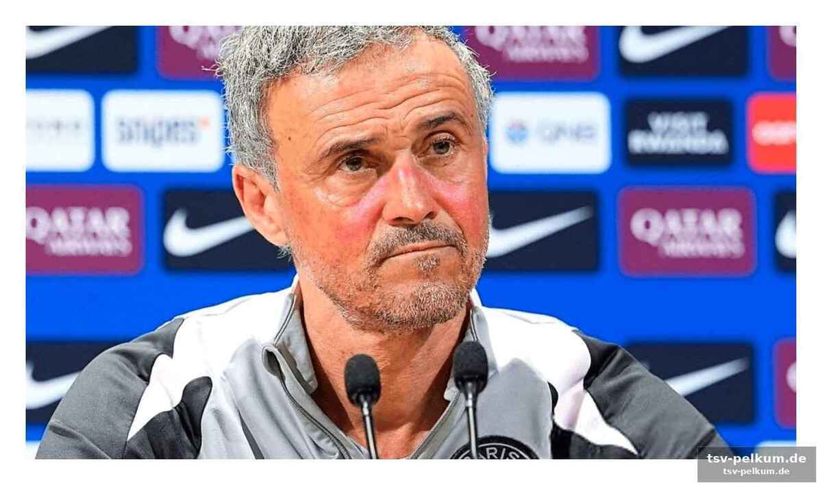 Enriques lob für kompany und das offensivspiel des fc bayern