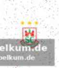 Die partie im überblick