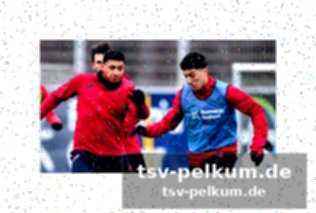 Leverkusen vor historischem moment gegen olympiakos