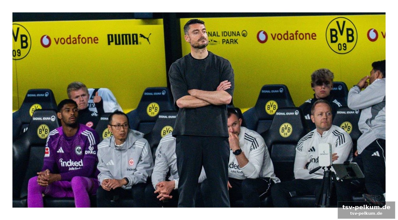 Stuttgart mit klarer mission: champions league oder nichts!