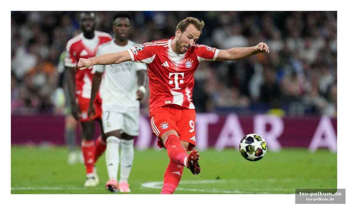 Südamerika-fieber: copa libertadores und copa sudamericana