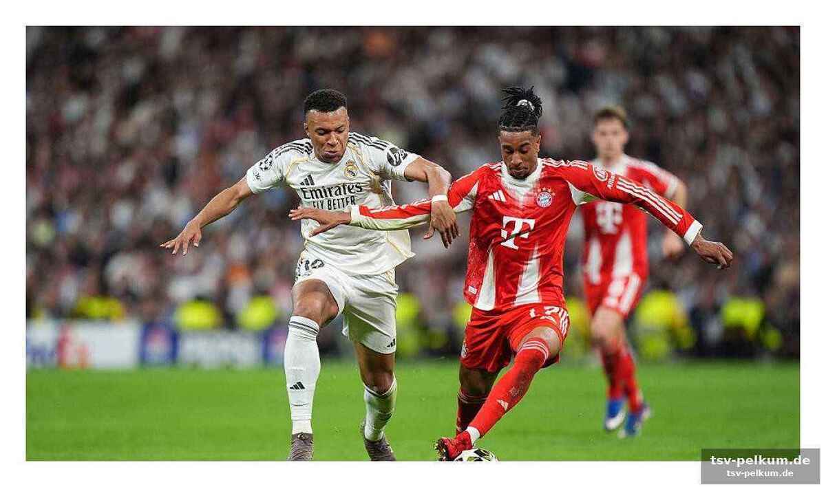 Die abstimmung zwischen champions league und bundesliga