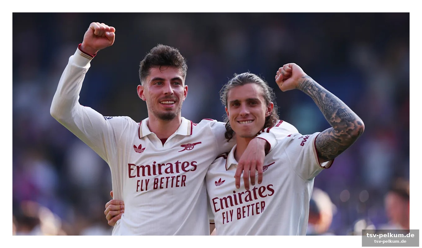 Daniel siebert im fokus des champions-league-finales