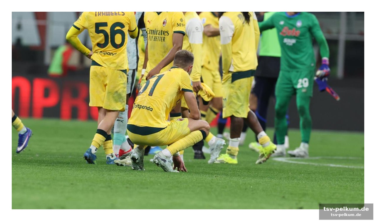 Die finanzielle bedeutung der champions league