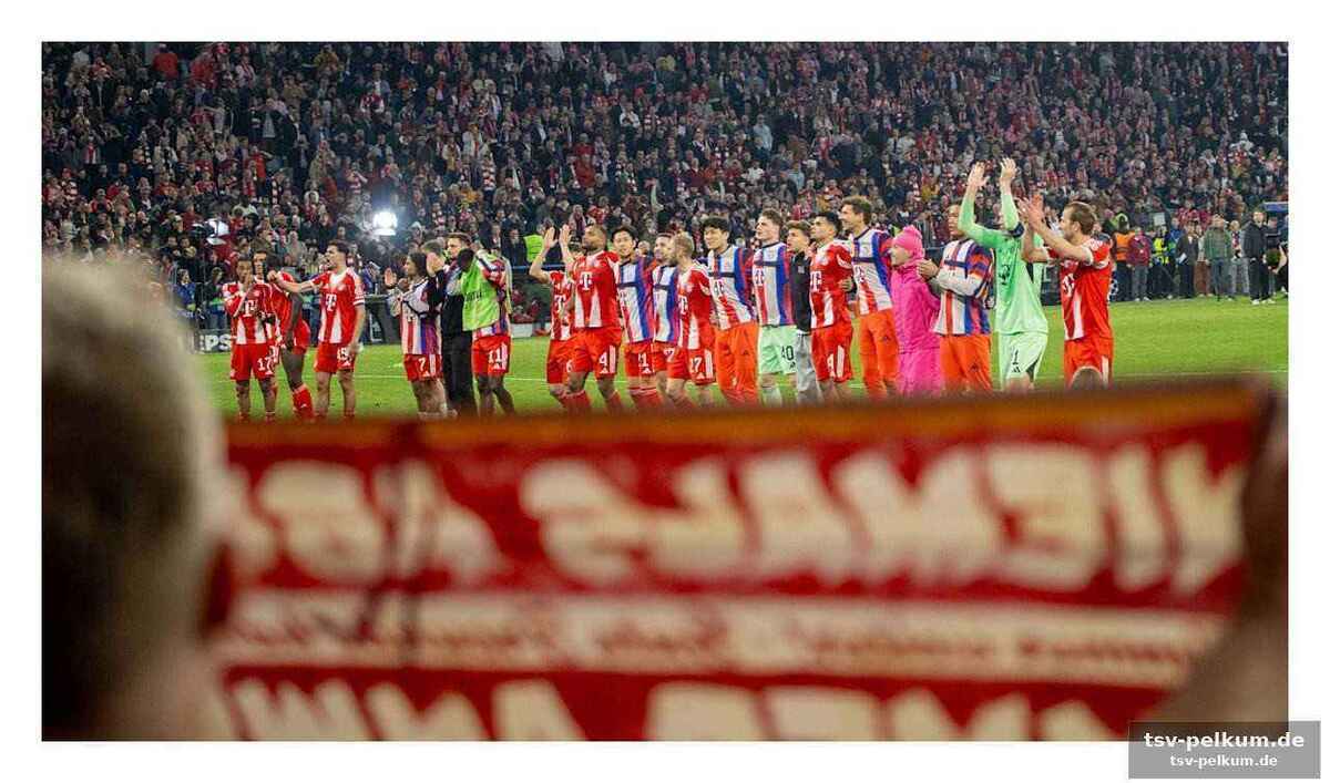 Finale in budapest – die letzte chance