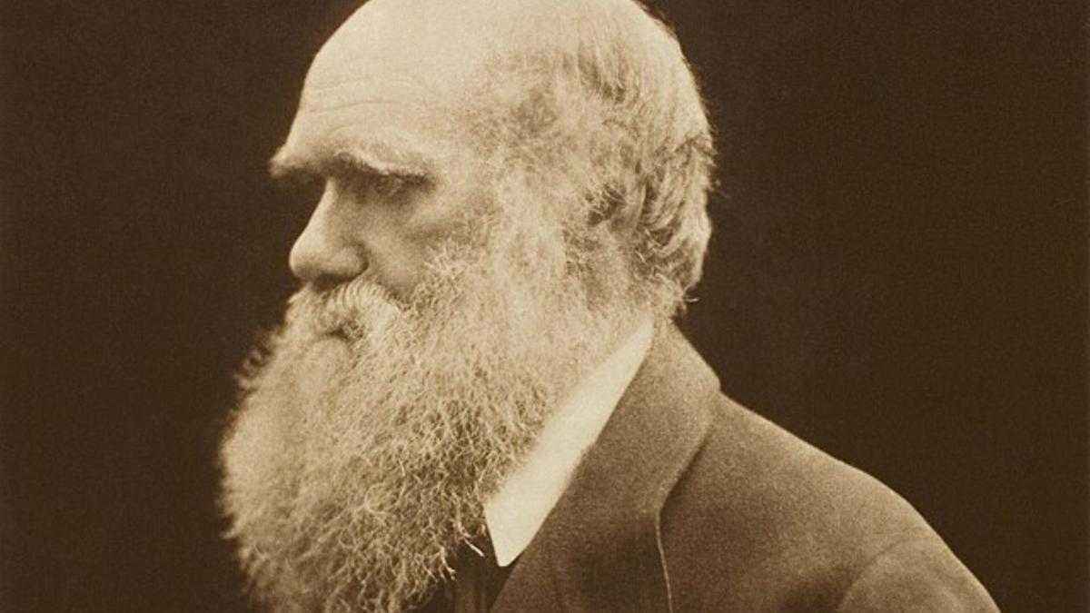 Charles darwin: wie tragödien und neugier die evolutionstheorie prägten