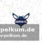 Das gehaltsbuch der hornets 2025/26 – ein überblick