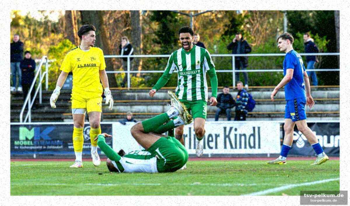 Käpnick-entlassung bei hertha zehlendorf – schmidt zeigt verständnis