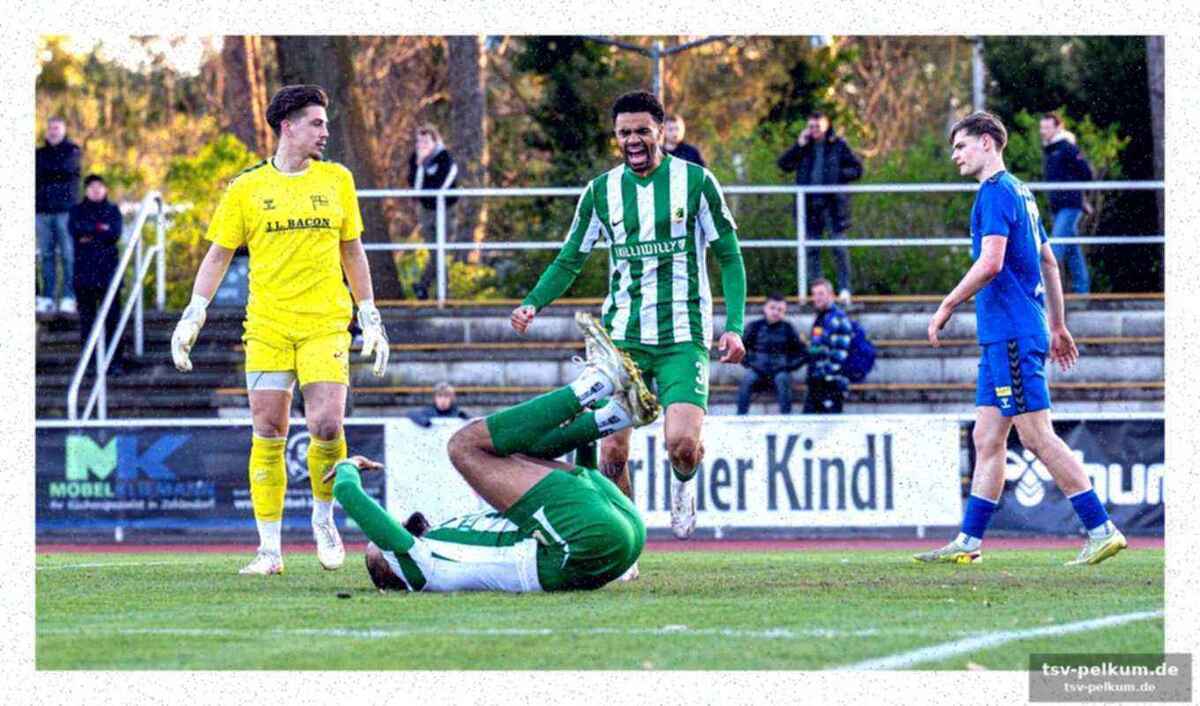 Trainer schmidt zufrieden, aber fokussiert