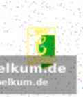 Spieler mit stallgeruch und neuen chancen