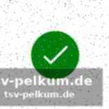 Eels mit neuem duo: moses und pezet