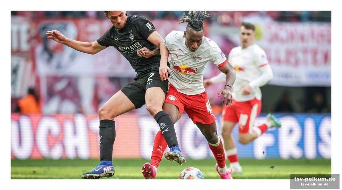 Neuzugang etabliert sich als stammspieler