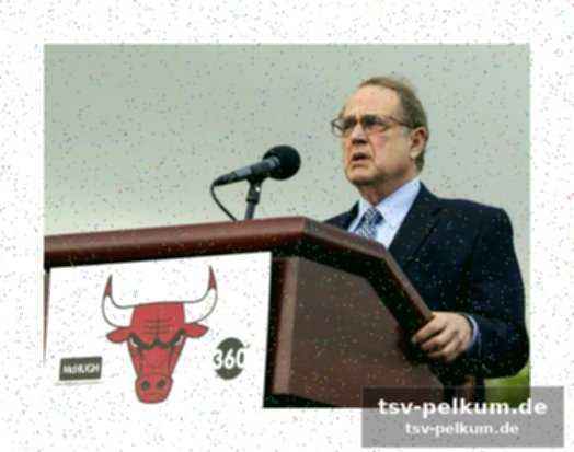 Die schuldzuweisungen: krause, paxson und reinsdorf