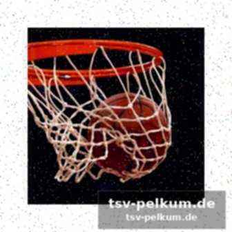 Eine zukunft im basketball?