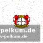 Der transfer von aleksa damjanovic