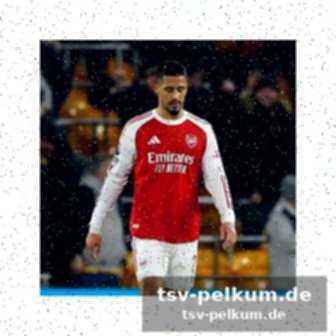 Newcastle antwortet prompt
